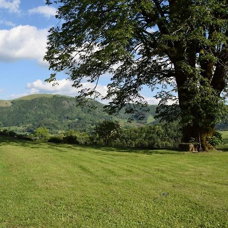 Gite 4 Personnes Dans Le Cantal Animaux Bienvenus Lascelle Exteriör bild