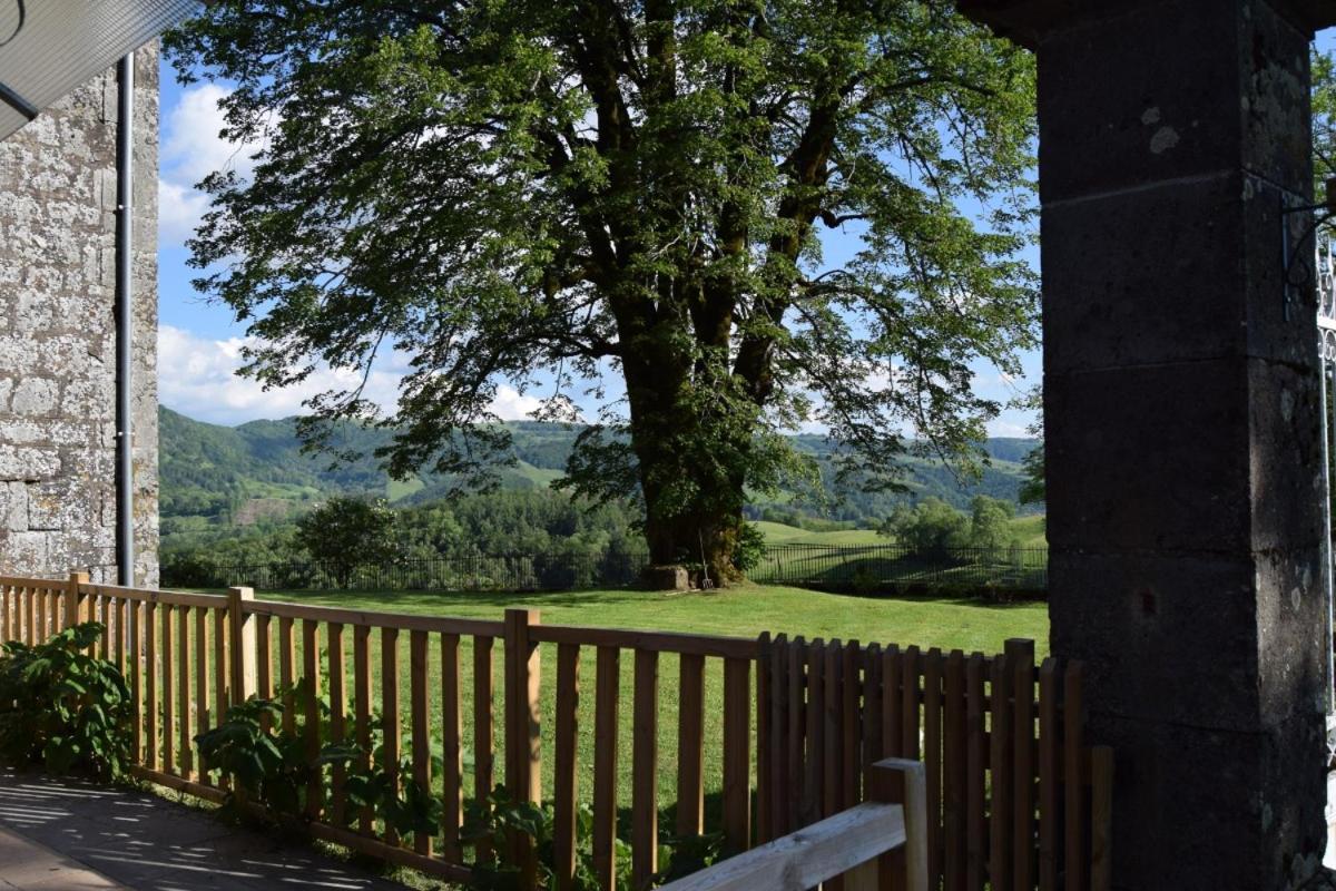 Gite 4 Personnes Dans Le Cantal Animaux Bienvenus Lascelle Exteriör bild